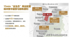 此中A1、A2栋为31楼