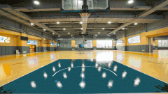 是中环旁稀有的低密生态住